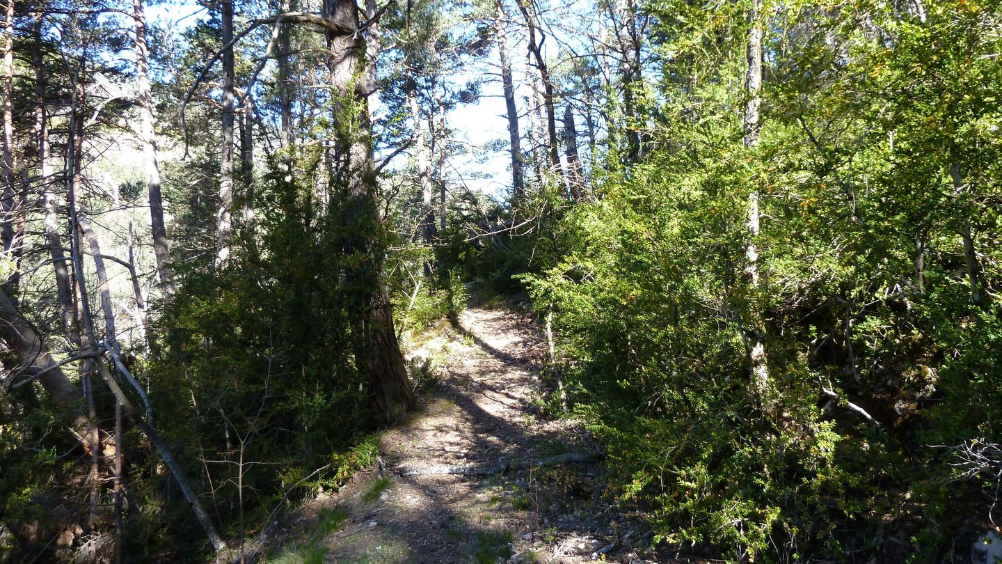 branchaie_avril_2017_052.JPG