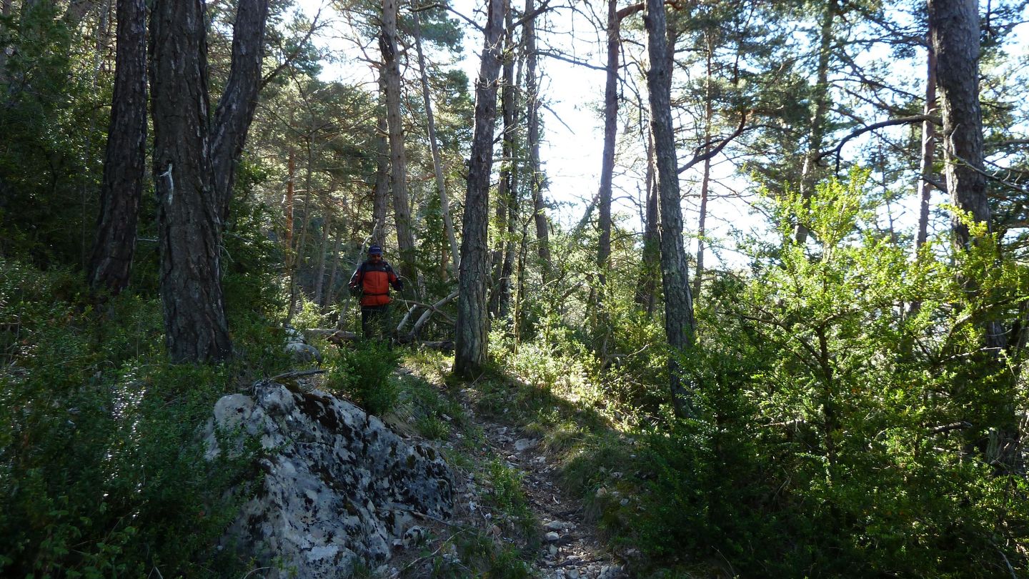 branchaie_avril_2017_055.JPG