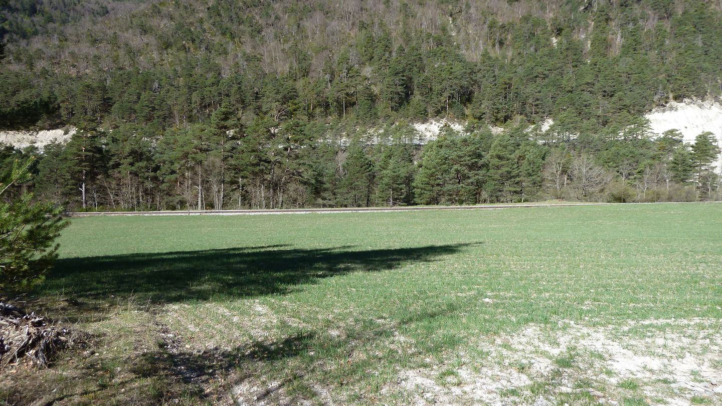 branchaie_avril_2017_064.JPG