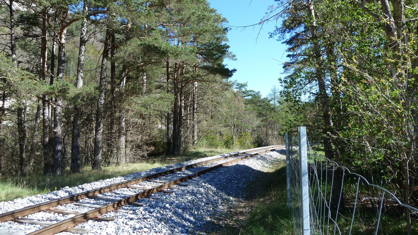 branchaie_avril_2017_076.JPG