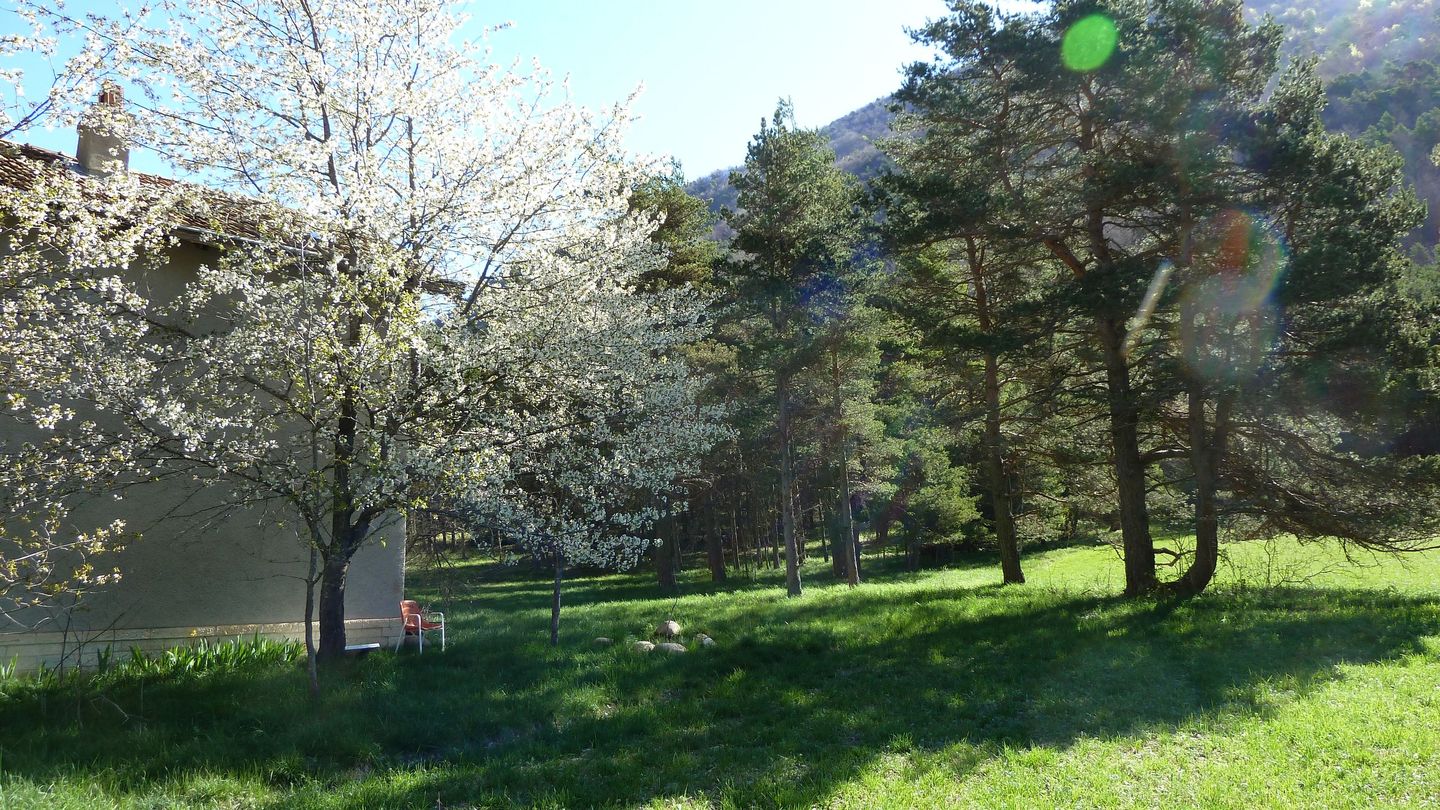 branchaie_avril_2017_082.JPG