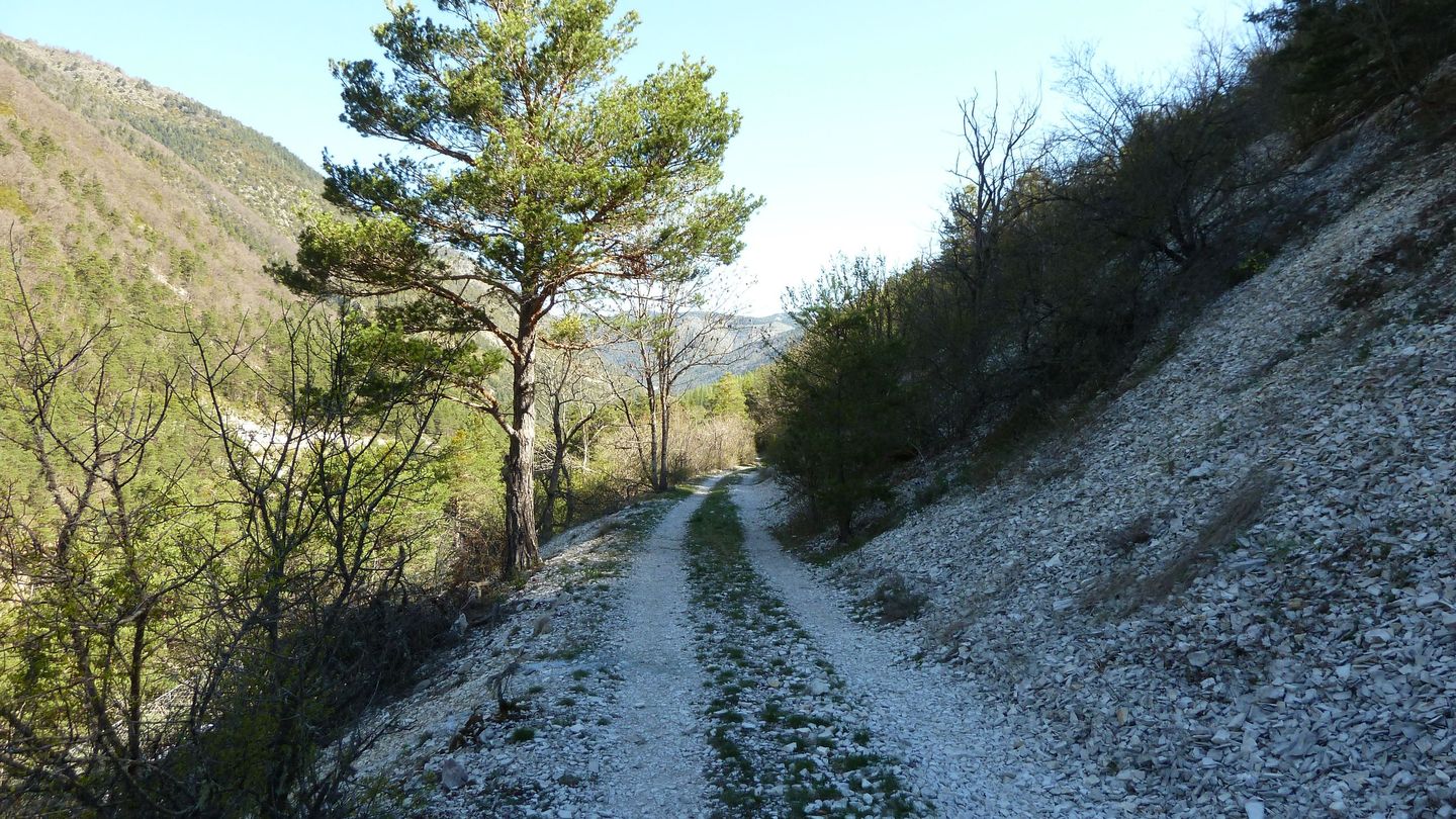 branchaie_avril_2017_085.JPG