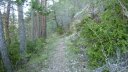 branchaie_avril_2017_007.JPG