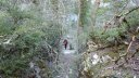 branchaie_avril_2017_043.JPG