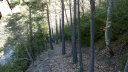 branchaie_avril_2017_058.JPG