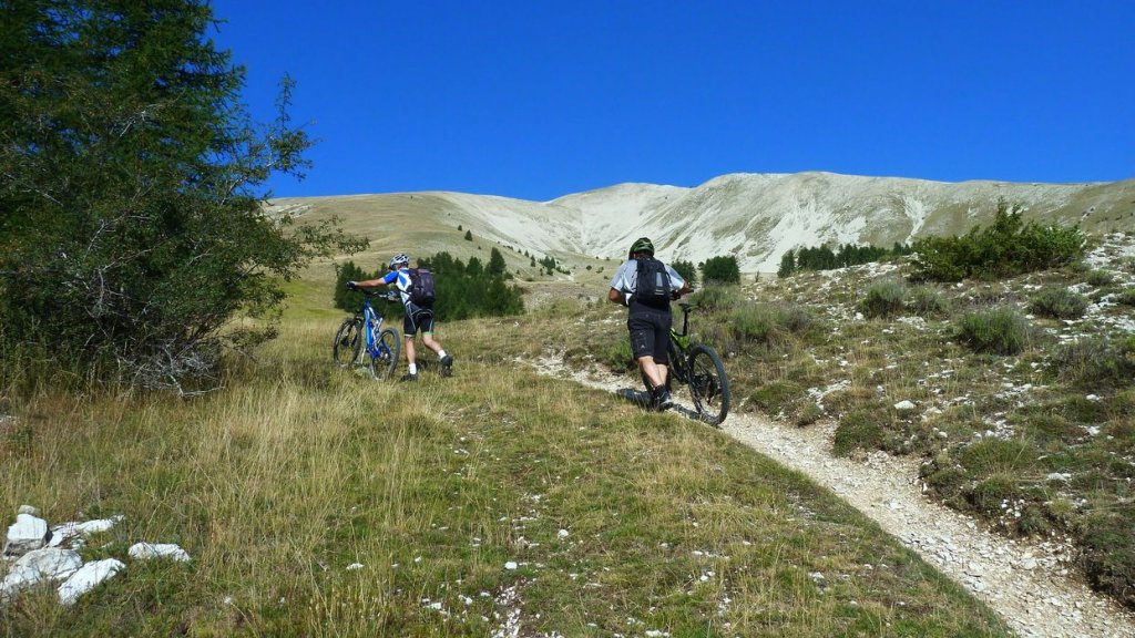 cheval_blanc_aout_2015_127.JPG