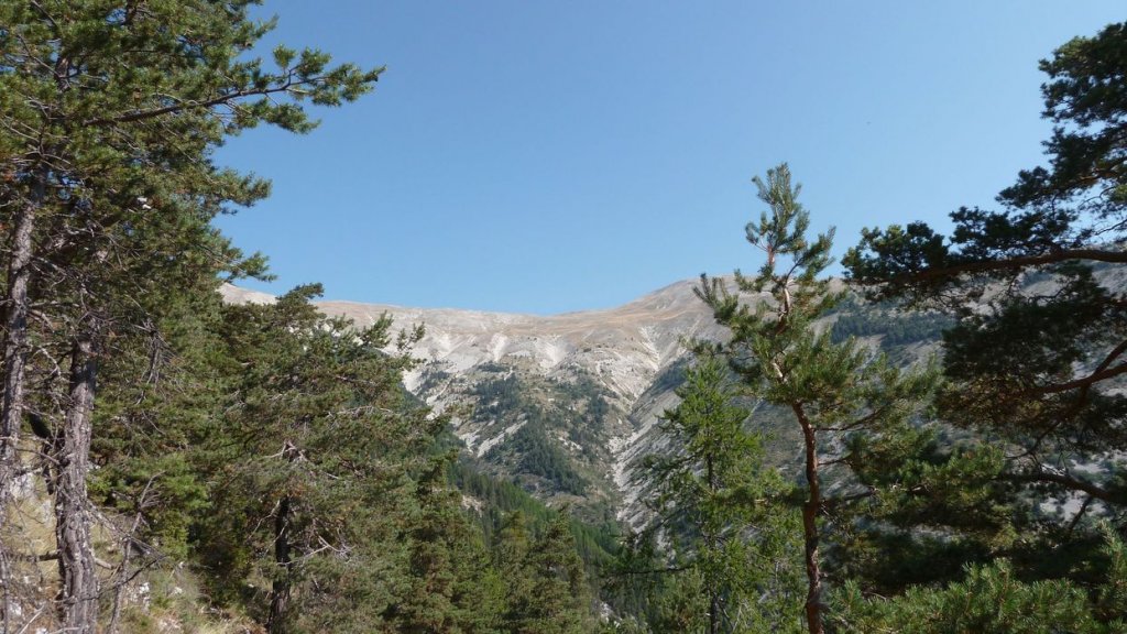 cheval_blanc_aout_2015_163.JPG