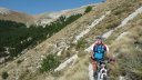 cheval_blanc_aout_2015_099.JPG