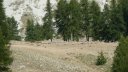 cheval_blanc_aout_2015_137.JPG