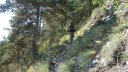 cheval_blanc_aout_2015_165.JPG