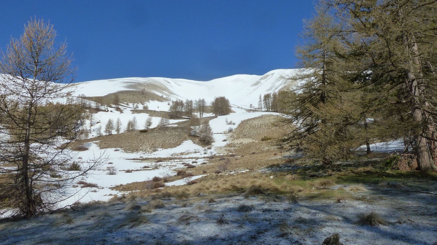 cab_cheval_blanc_avril_2018_029.JPG