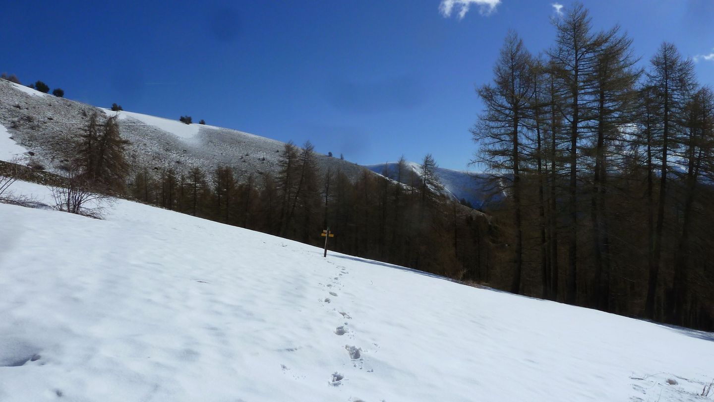 cab_cheval_blanc_avril_2018_047.JPG