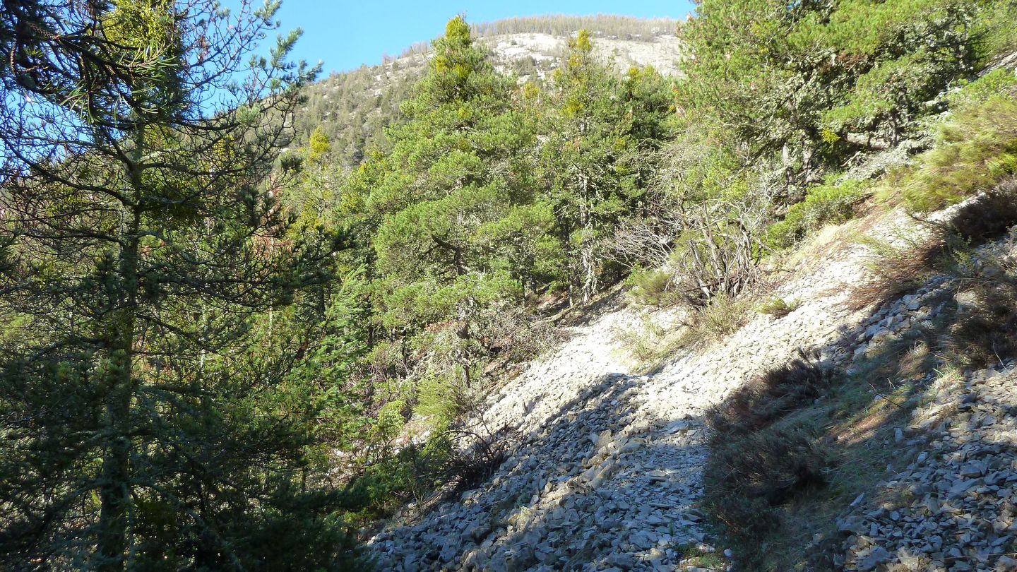 cab_cheval_blanc_avril_2018_09.JPG