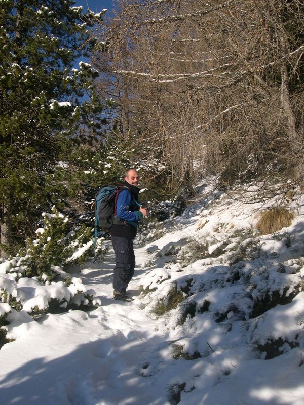 cabane_piche_dec_2004_006.jpg