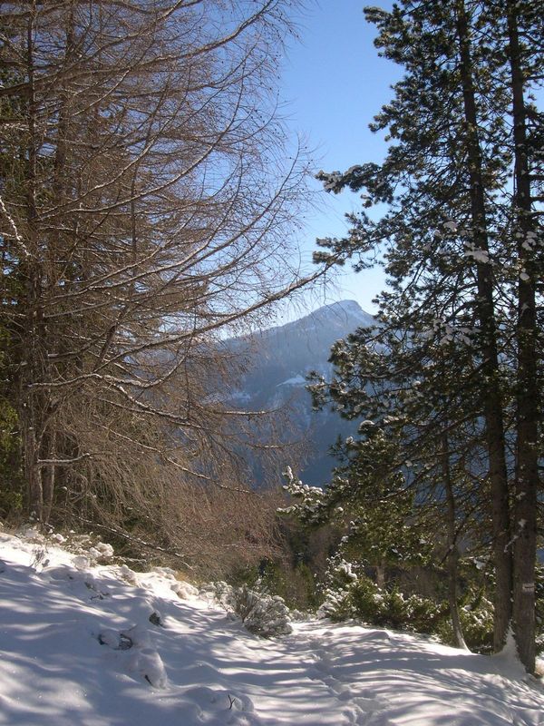 cabane_piche_dec_2004_007.jpg