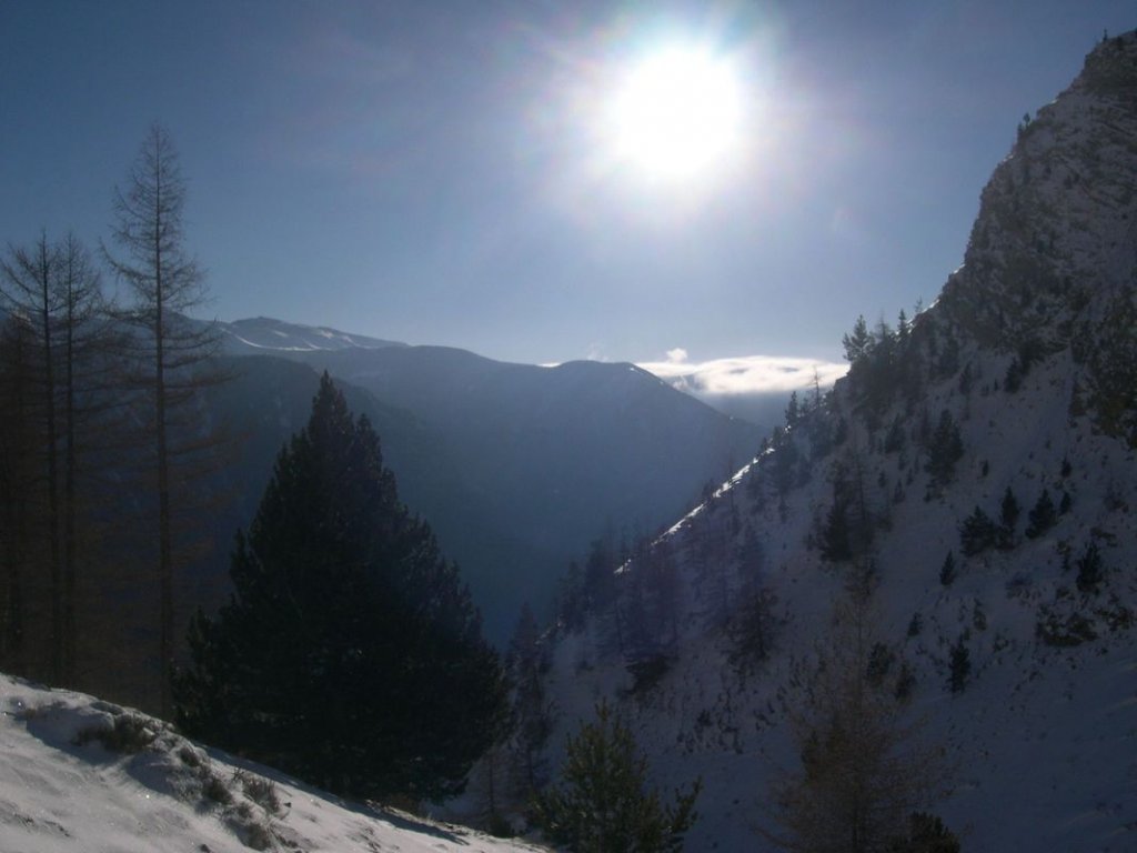 cabane_piche_dec_2004_012.jpg