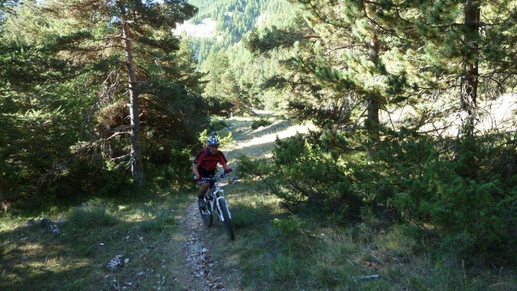 chalufy_vachieres_aout_2012_066.jpg