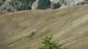 rougnouse_aout_2012_038.jpg