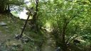 rougnouse_aout_2012_196.jpg