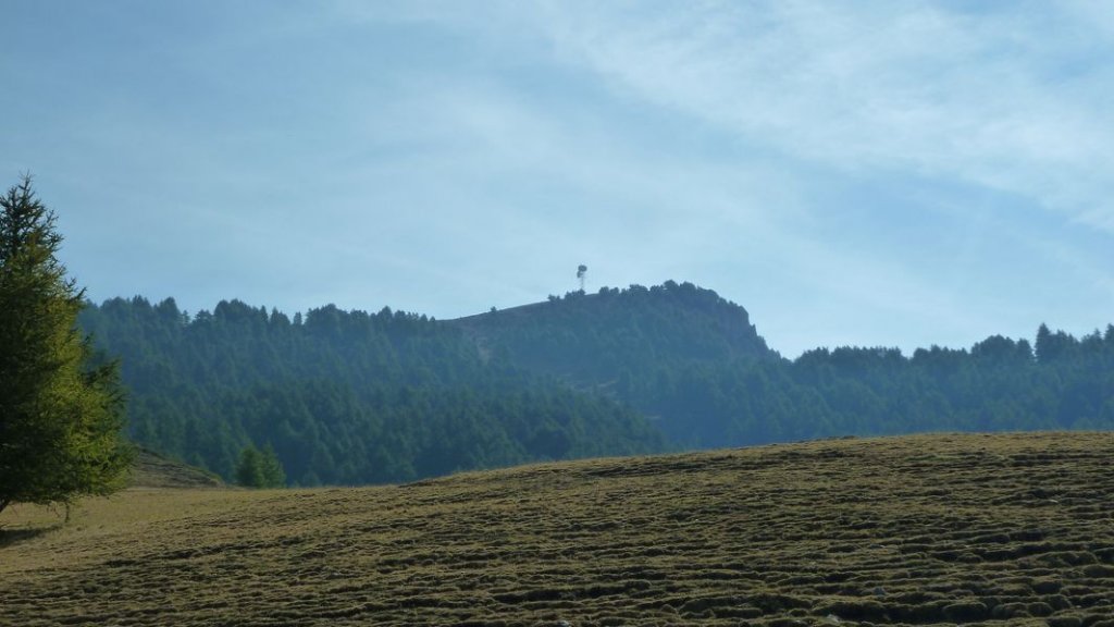 cabane_defend_aout_2012_072.jpg