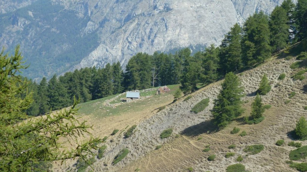 cabane_defend_aout_2012_106.jpg