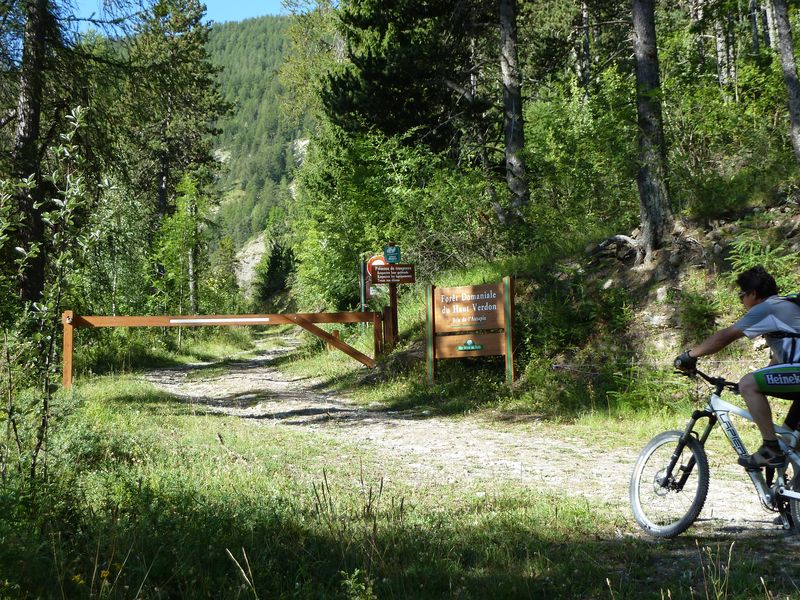 cabane_autapie_2011_025.jpg