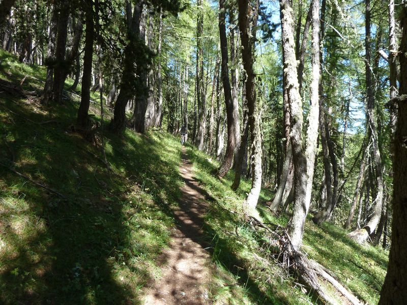 cabane_autapie_2011_041.jpg