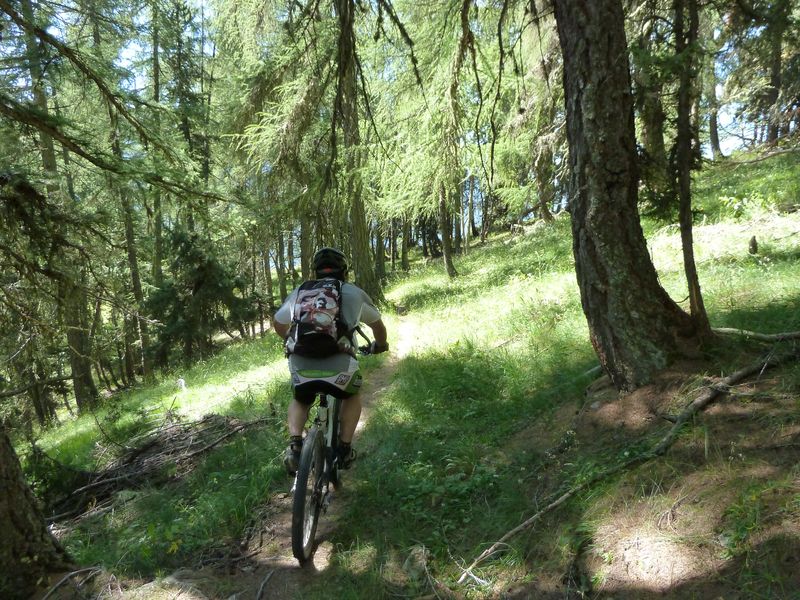 cabane_autapie_2011_047.jpg