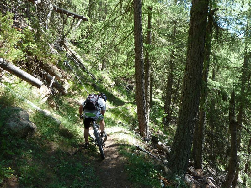 cabane_autapie_2011_053.jpg