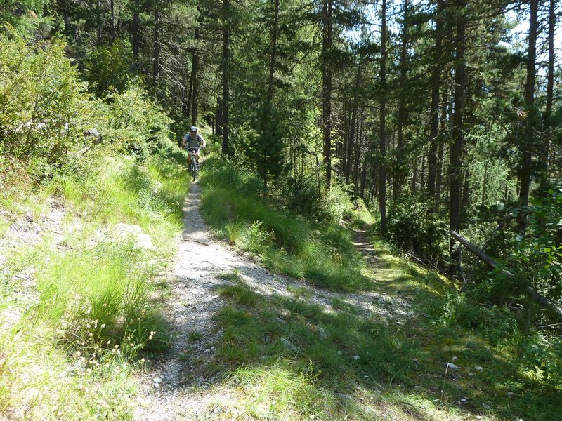 cabane_autapie_2011_071.jpg