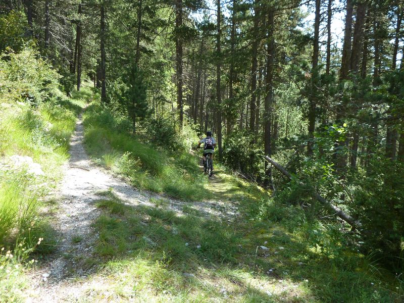 cabane_autapie_2011_073.jpg