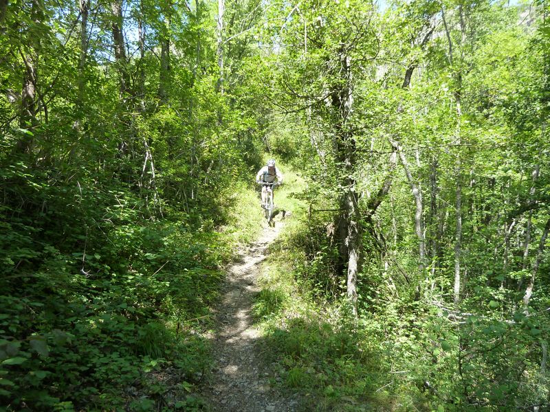 cabane_autapie_2011_079.jpg