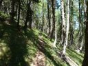 cabane_autapie_2011_041.jpg
