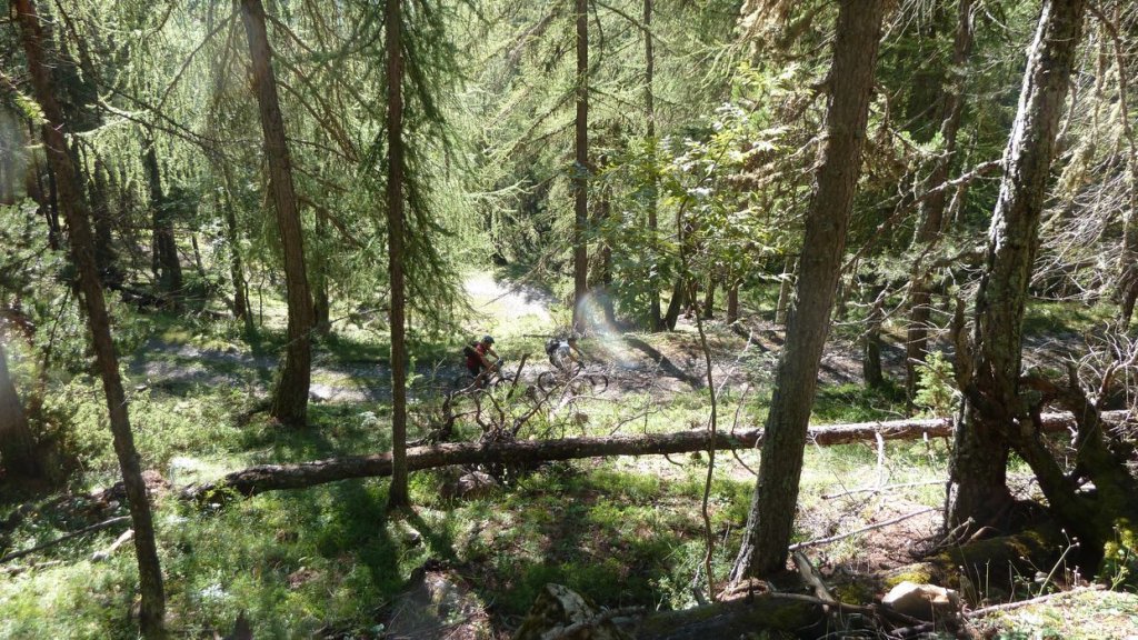 cabane_autapie_2013_018.jpg