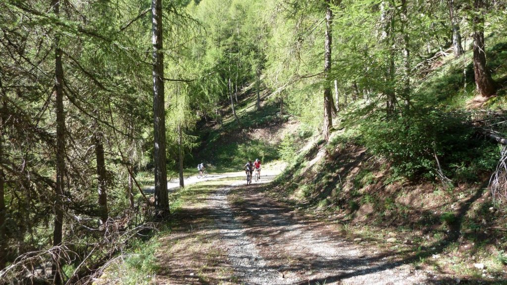 cabane_autapie_2013_020.jpg