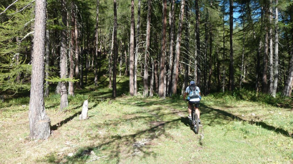 cabane_autapie_2013_024.jpg
