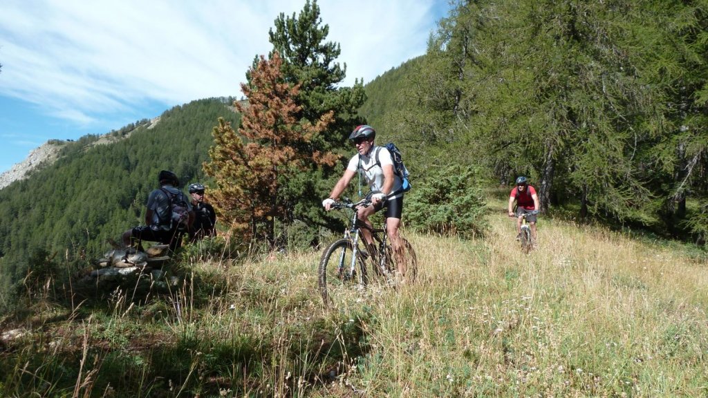 cabane_autapie_2013_044.jpg