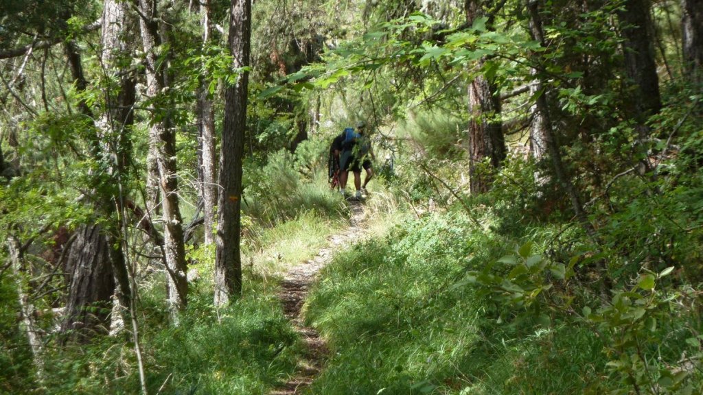 cabane_autapie_2013_062.jpg