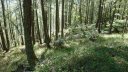 cabane_autapie_2013_010.jpg