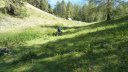 cabane_autapie_aout_2016_137.JPG