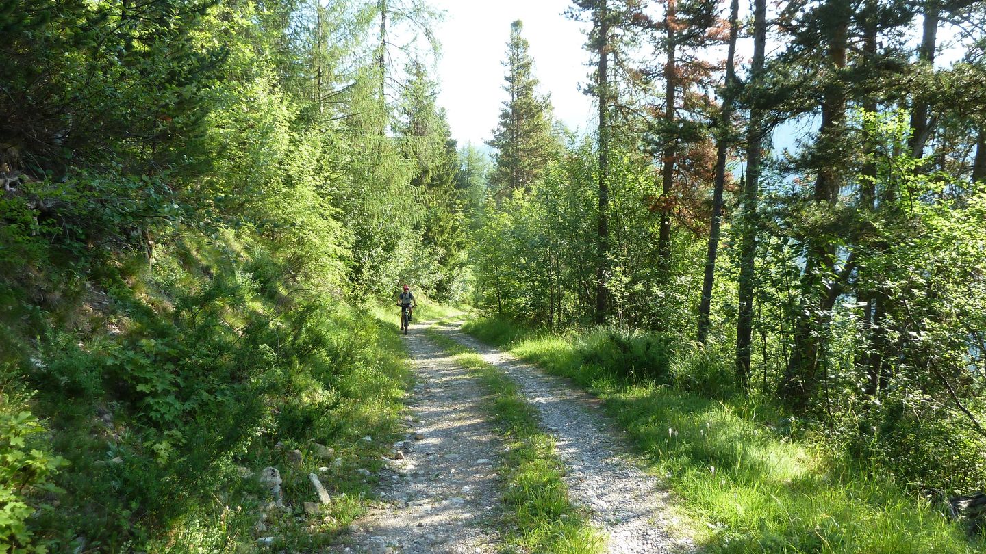 cabane_autapie_2018_013.JPG