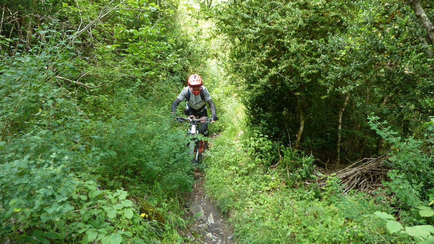 cabane_autapie_2018_067.JPG