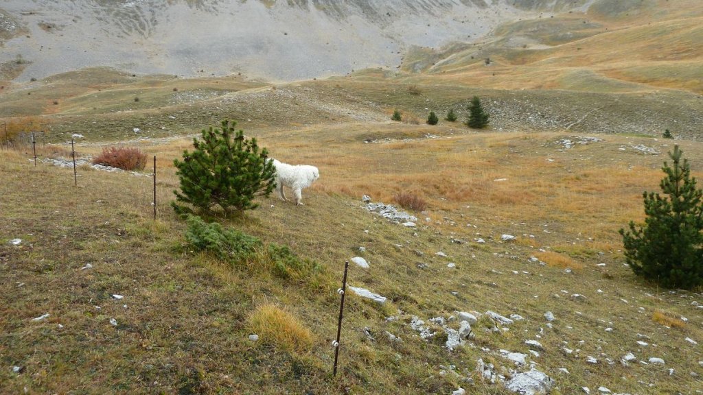 cab_lachen_2013_078.jpg