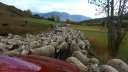 cab_lachen_2013_084.jpg