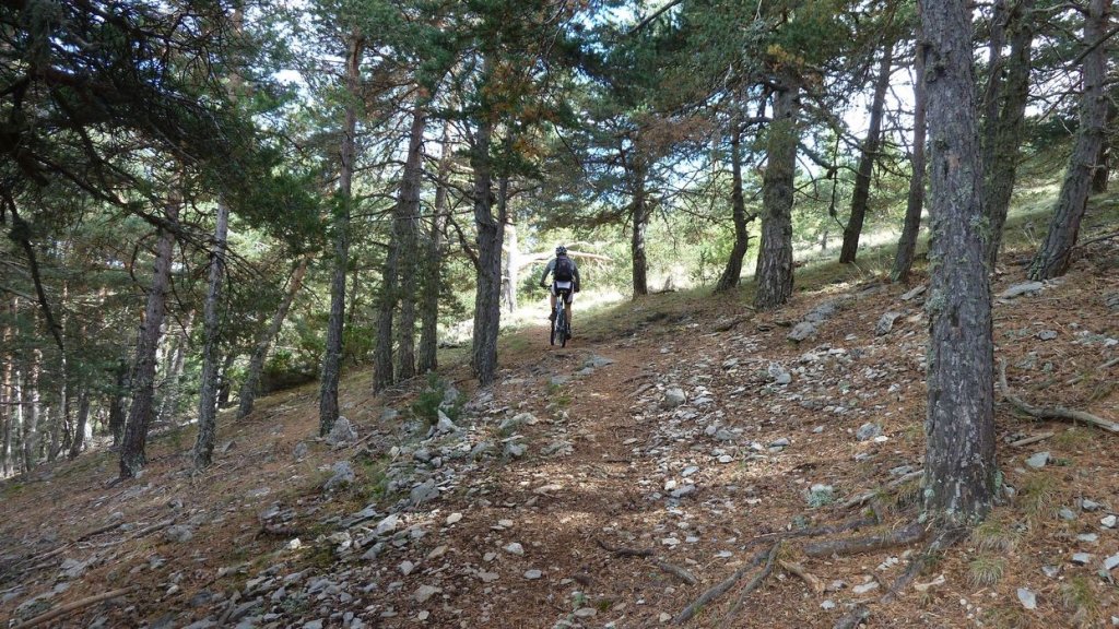 cabane_mont_aout_2015_083.JPG