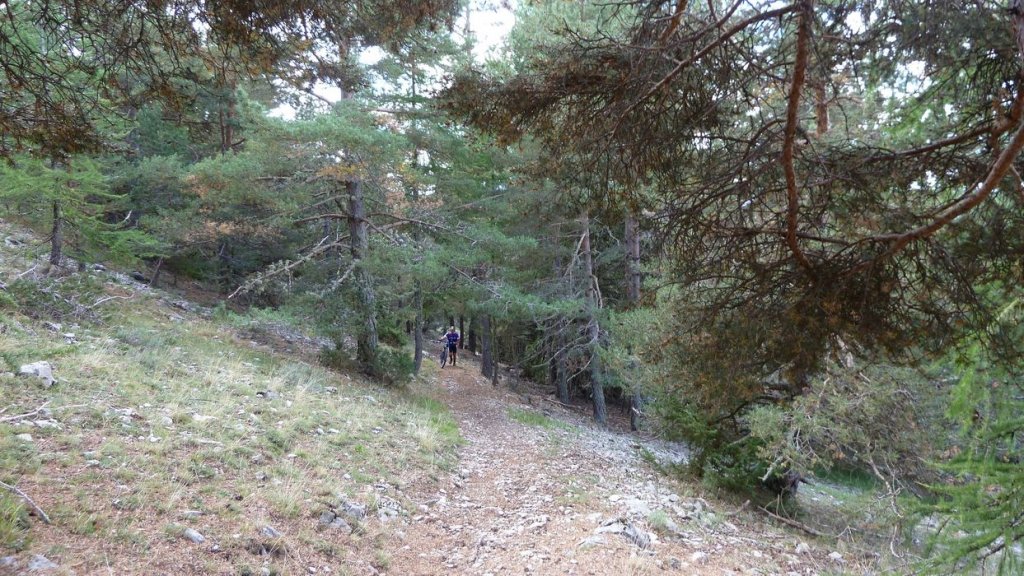 cabane_mont_aout_2015_095.JPG