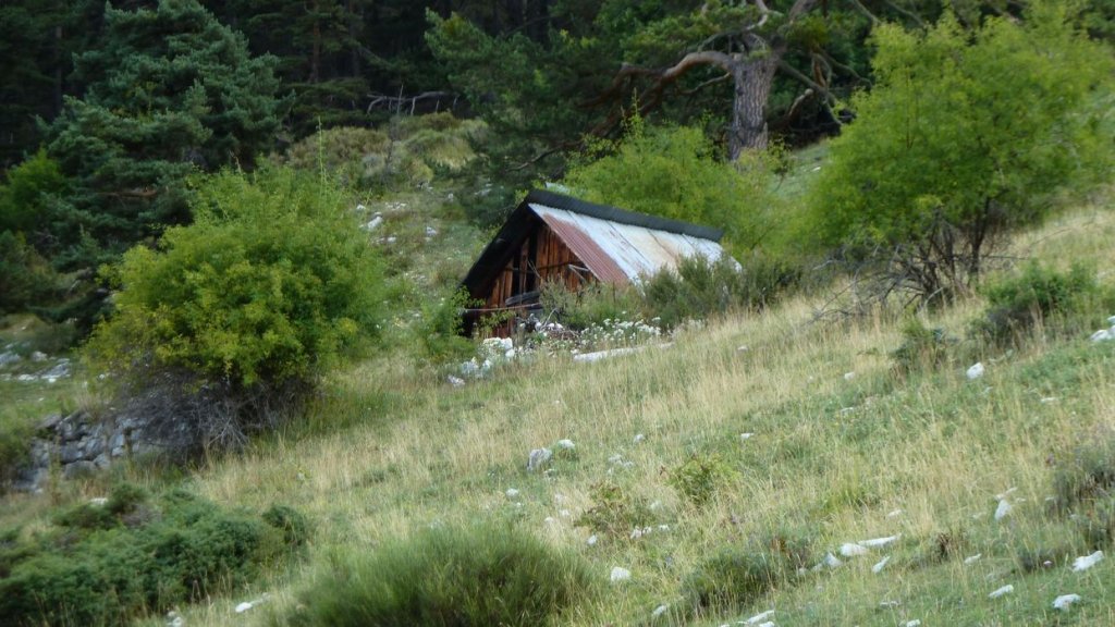 cabane_mont_aout_2015_179.JPG