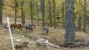 pasquier_oct_2013_026.jpg