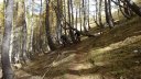 pasquier_oct_2013_078.jpg