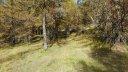 pasquier_oct_2013_134.jpg